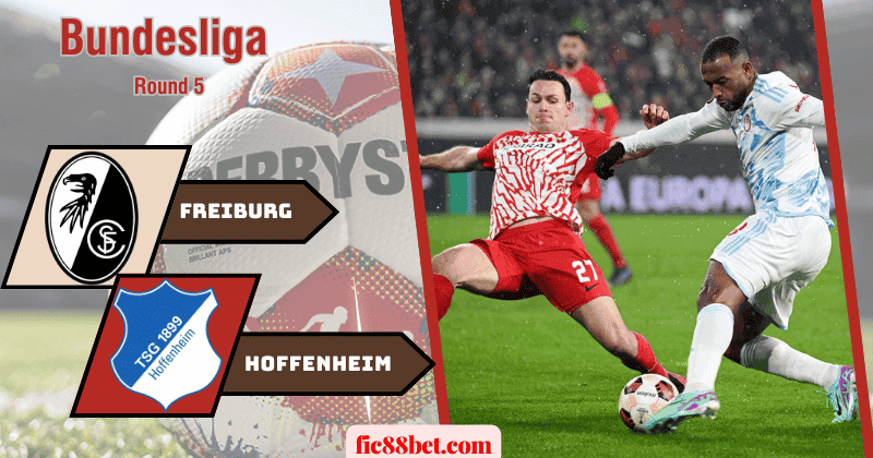 Nhận định Freiburg vs Hoffenheim