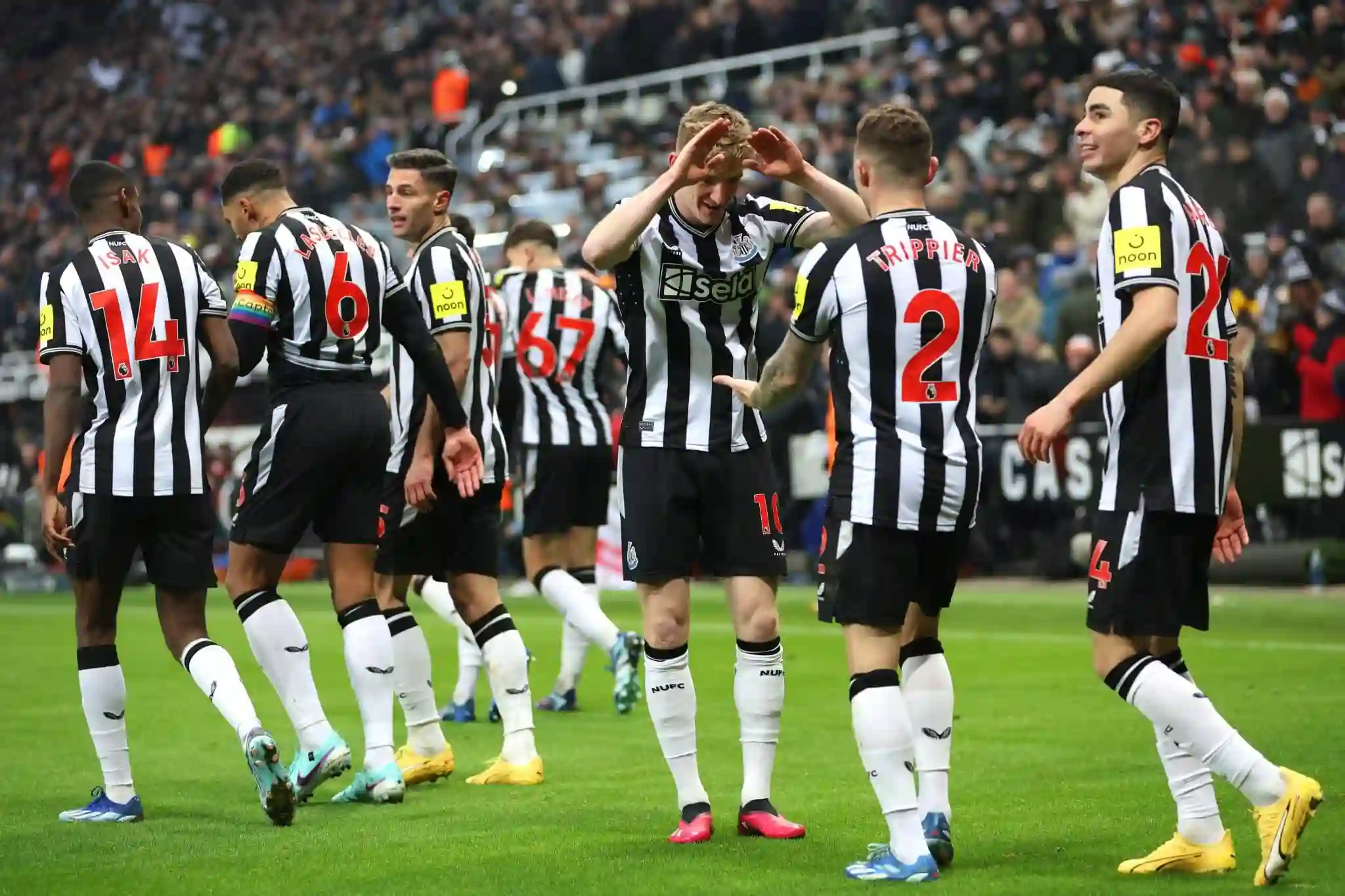 Nhận định Newcastle vs Fulham: Chủ nhà tìm lại niềm tin sau chiến thắng châu Âu 2 phong độ Newcastle