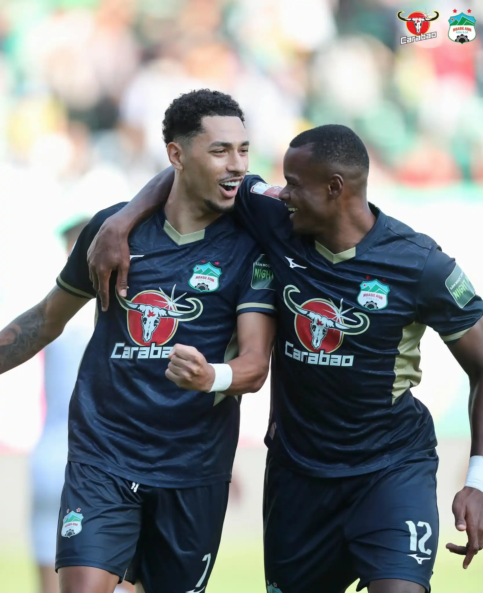 Nhận Định Hồng Lĩnh Hà Tĩnh vs Gia Lai: Chủ Nhà Quyết Tâm Bảo Vệ Lợi Thế Sân Nhà 3 Phong độ gia lai